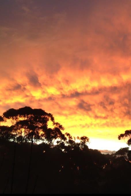 Avoca Beach And Bush מראה חיצוני תמונה
