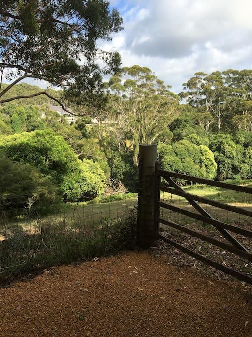 Avoca Beach And Bush מראה חיצוני תמונה